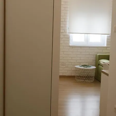 Ana, Vracar, Apartamento Belgrado