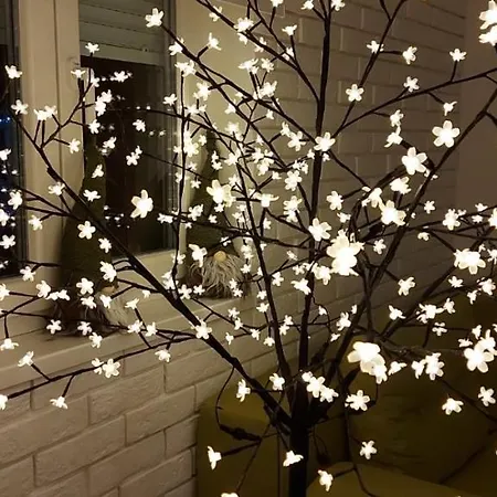 Apartament Ana, Vracar, *