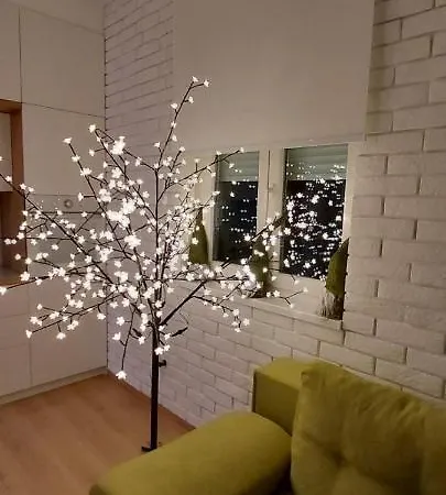 Apartament Ana, Vracar,